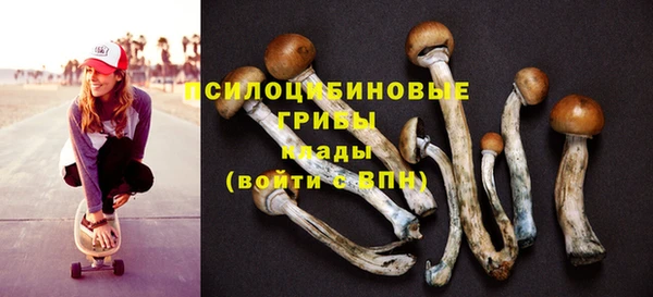 дживик Алзамай