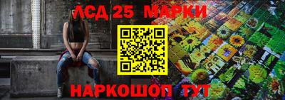 индика Усть-Илимск