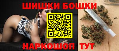 индика Усть-Илимск