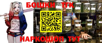 индика Усть-Илимск
