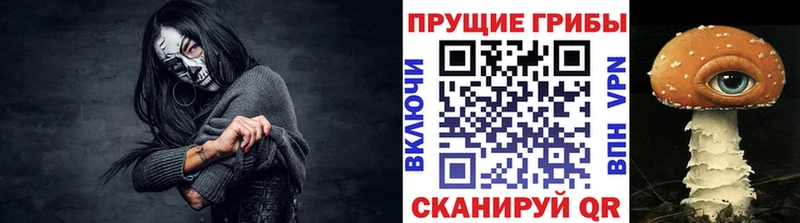 Галлюциногенные грибы Psilocybine cubensis Шумерля