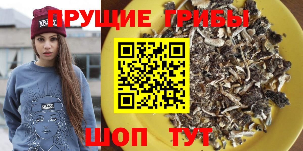 Шумерля  Псилоцибиновые грибы Psilocybine cubensis  Вход с VPN  Псилоцибиновые грибы MAGIC MUSHROOMS 